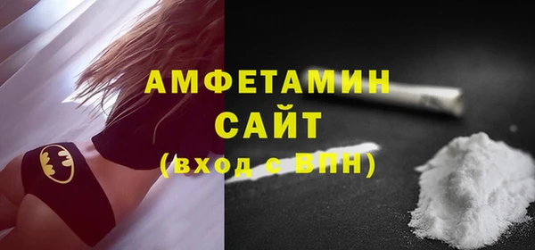 индика Кулебаки